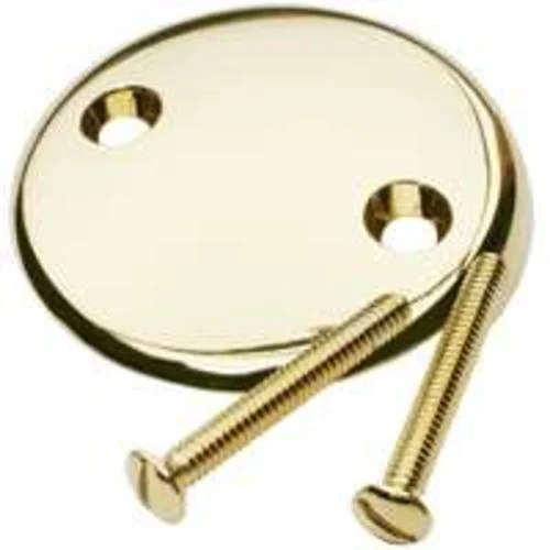 Plumb Pak PP826-11DSPB Two Hole Face Plate with Screws Polished Brass for Electrical