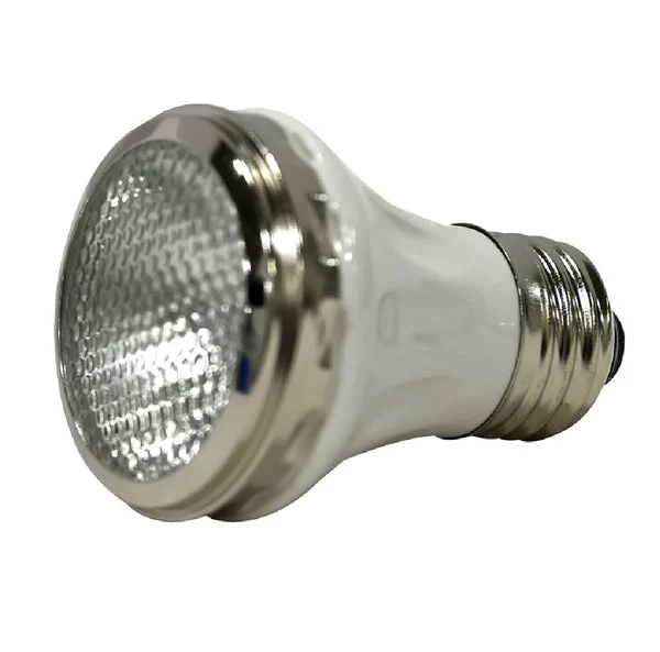 Sylvania 17606 60 Watt Sealed Beam Halogen Lamp for Outdoor Use
