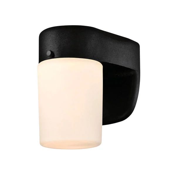 Westinghouse 61067 8-Watt 120-Volt LED Dusk to Dawn Wall Light